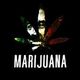 Panicproan420