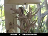  MyBabySittersClub - Hot Babysitter Seduces And Fucks New Boss 